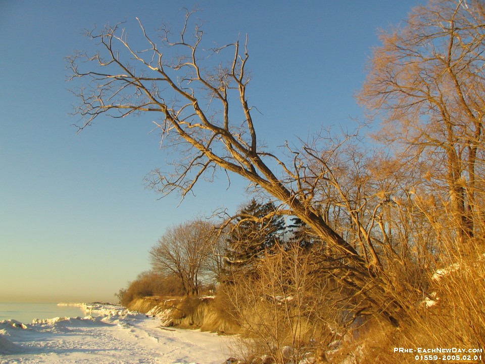 01559 - Rouge Beach Park